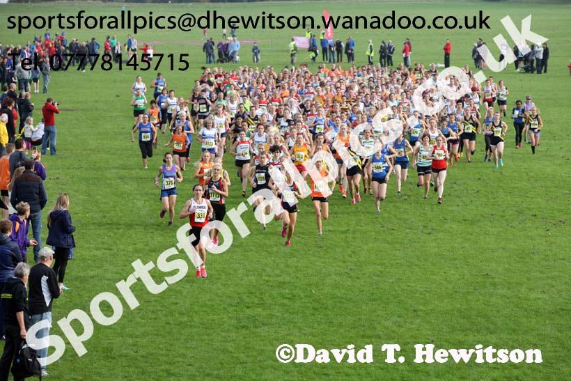Senior womens Sherman Cup, Temple Park, South Shields. Photo: David T. Hewitson/Sports for All Pics
